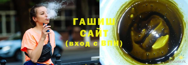 тгк Гусев