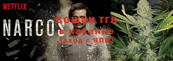ешки Гусь-Хрустальный